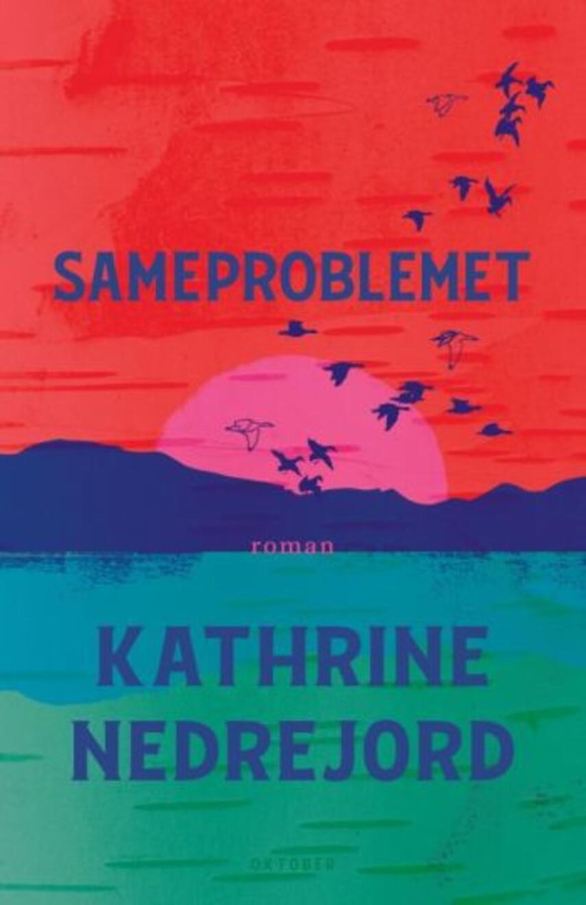 Kathrine Nedrejord: Sameproblemet : roman