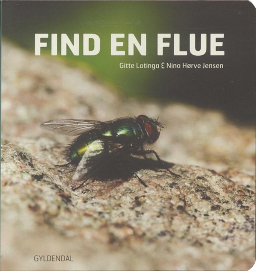 : Find en flue