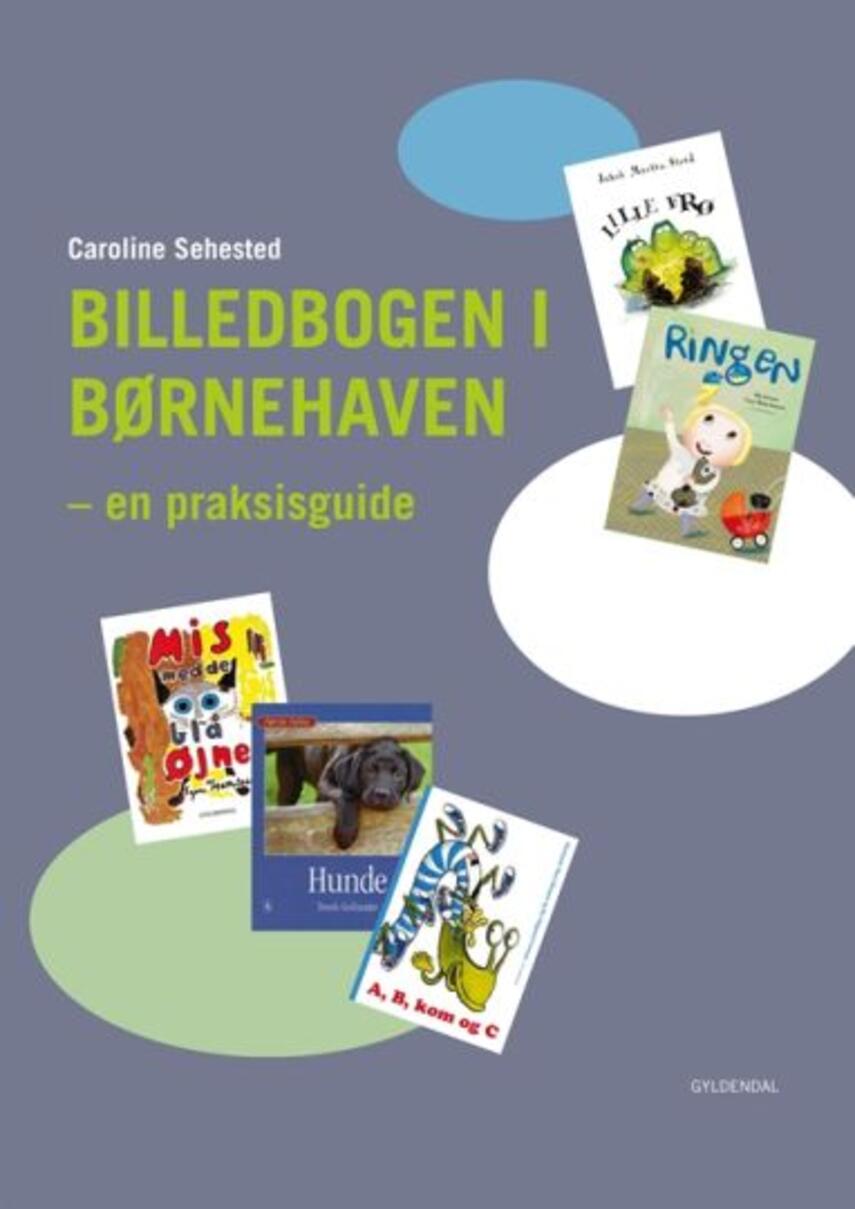 Caroline Sehested: Billedbogen i børnehaven : en praksisguide